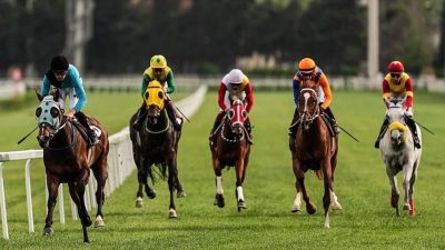 İngiltere’de at yarışı kesimi, 10