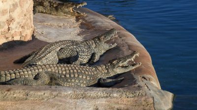 İsrail işgali altındaki Batı Şeria’daki