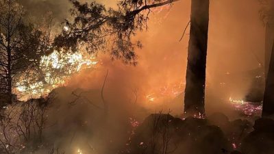 Isparta’da ormanlık alanda çıkan yangın denetim altında