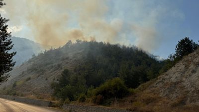 Karabük’te orman yangını: Müdahale sürüyor