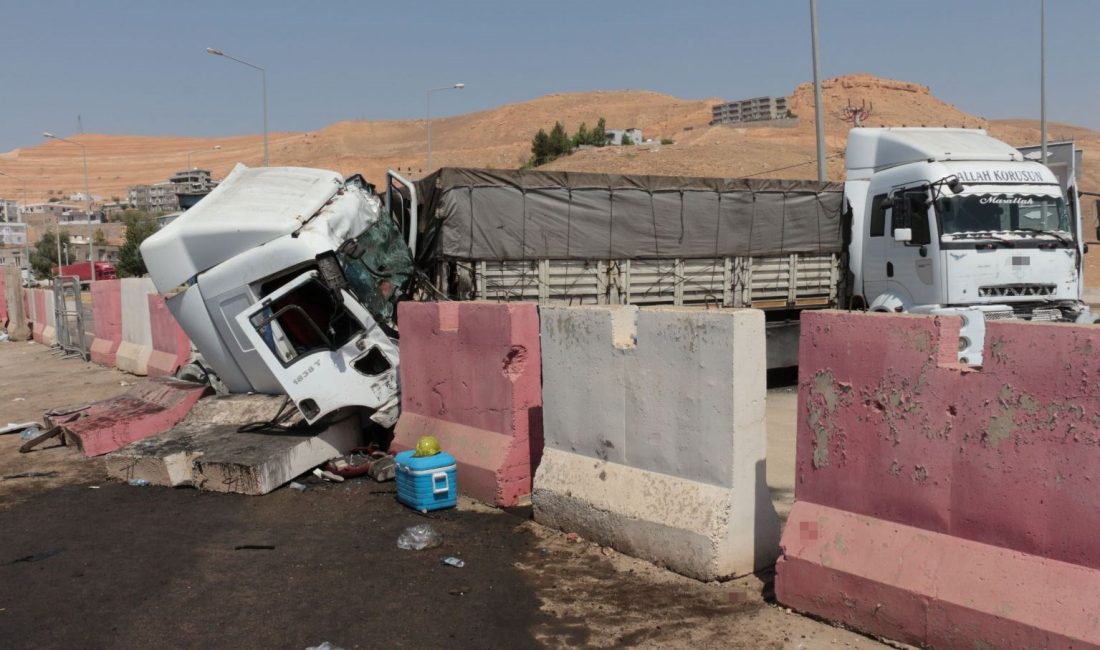 Şırnak'ın Cizre ilçesinde tıpkı