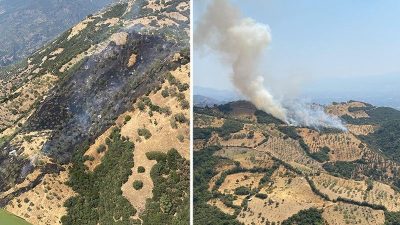 Kayınpederine kızdı, 30 dönümlük alanı yaktı