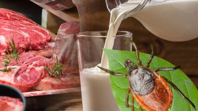 Et ve süt tüketiminin akabinde