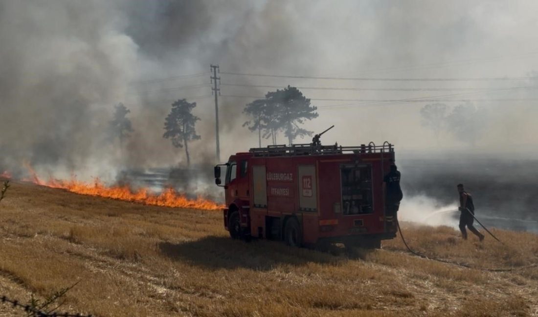 Kırklareli'nin Lüleburgaz ilçesinde anız