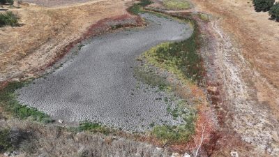 Küçükdöllük Göleti büsbütün kurudu