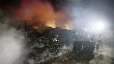 Mandıra yandı, yüzden fazla kuzu öldü