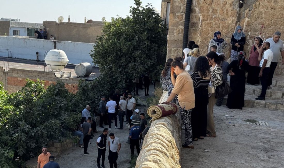 Mardin'de gizemli vefatlar yaşanıyor.