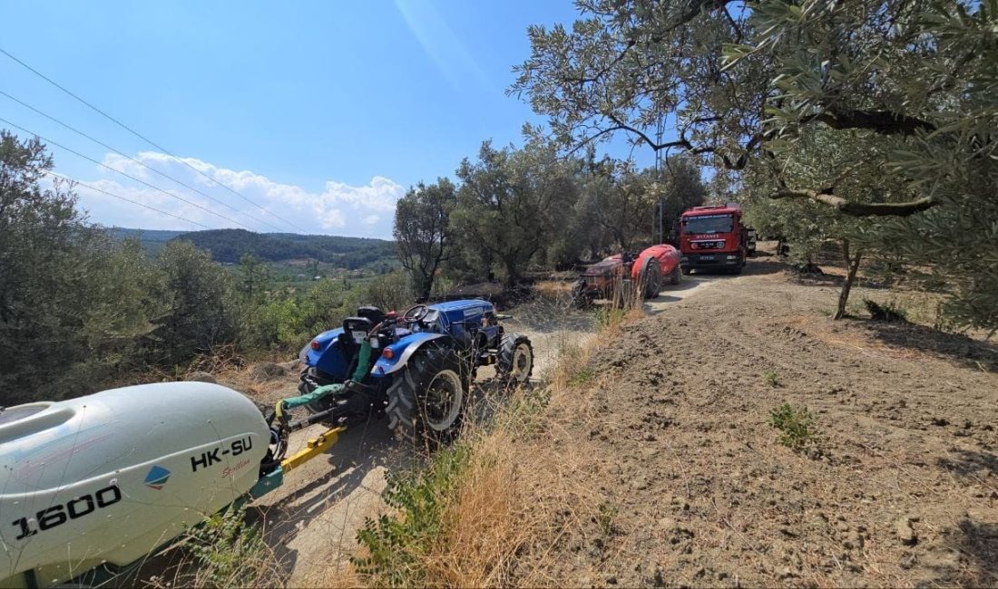 Bursa'nın Mudanya ilçesinde elektrik