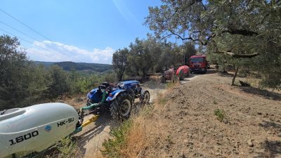 Mudanya’da orman yangını