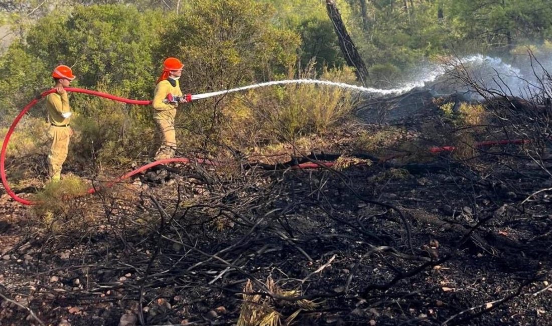 Muğla'nın Fethiye ilçesinde çıkan
