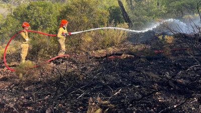 Muğla orman yangını: 2,5 saate denetim altına alındı