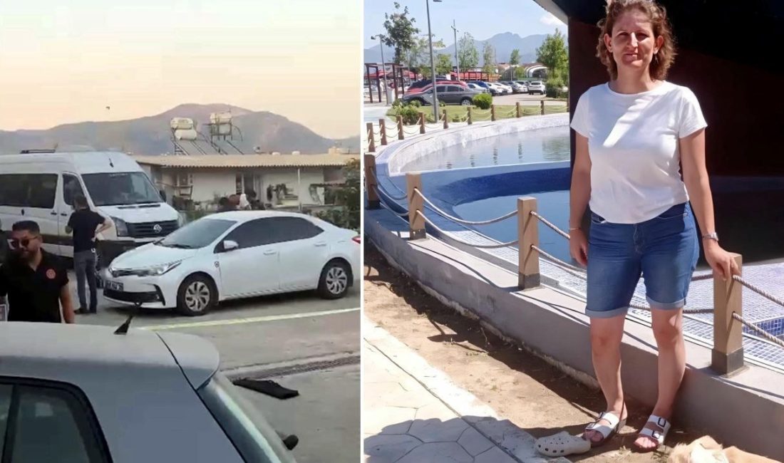 Muğla'nın Milas ilçesinde Kezban