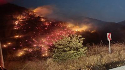 Nazilli’de alevler büyümeden denetim altına alındı