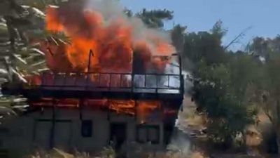 Orman kıl hissesi yanmaktan kurtuldu