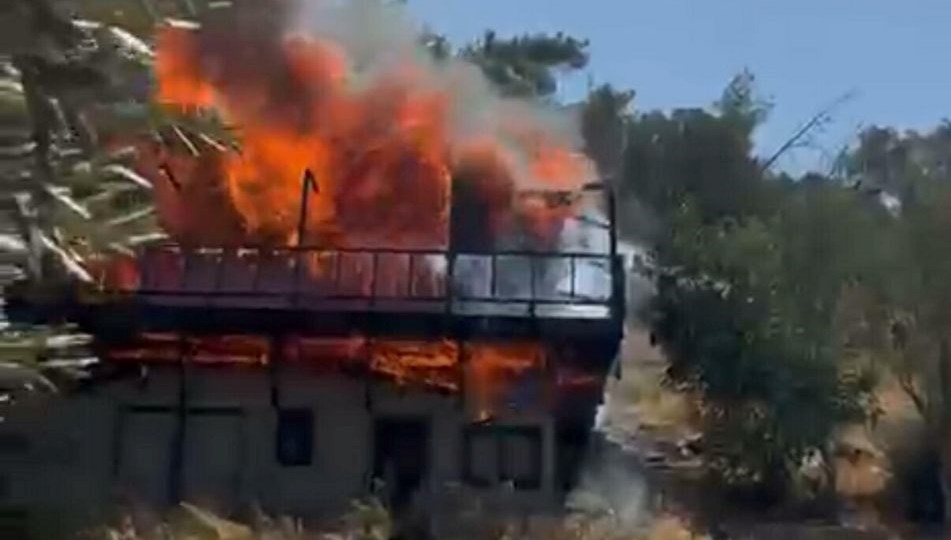 Muğla'nın Bodrum ilçesinde bir meskende