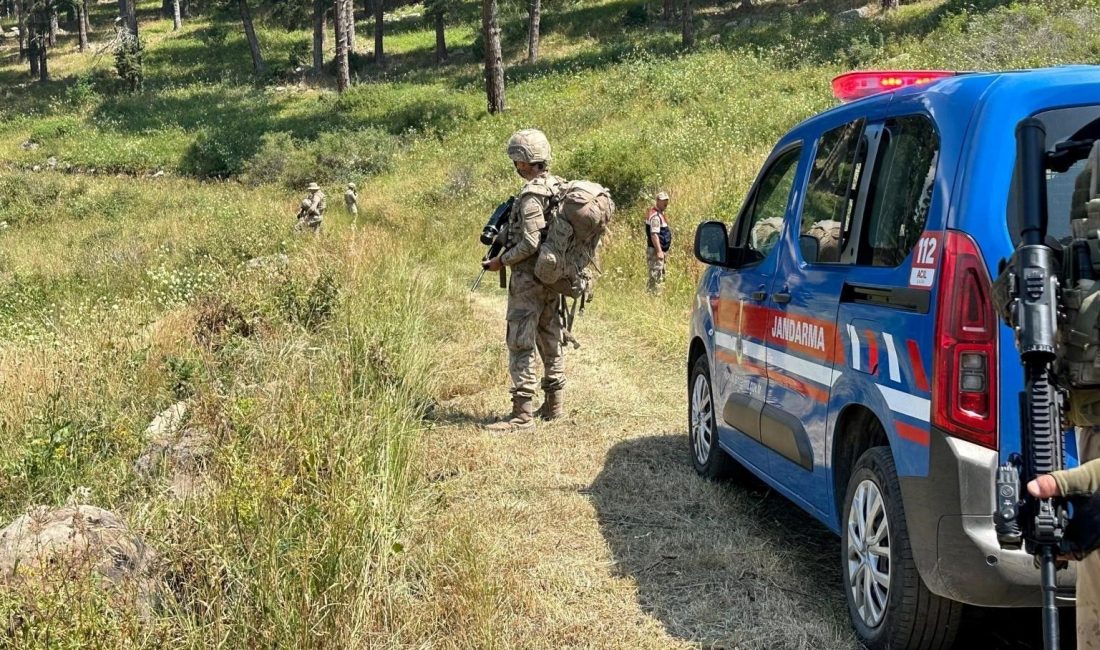 Erzurum'da ormanlık alanda mangal