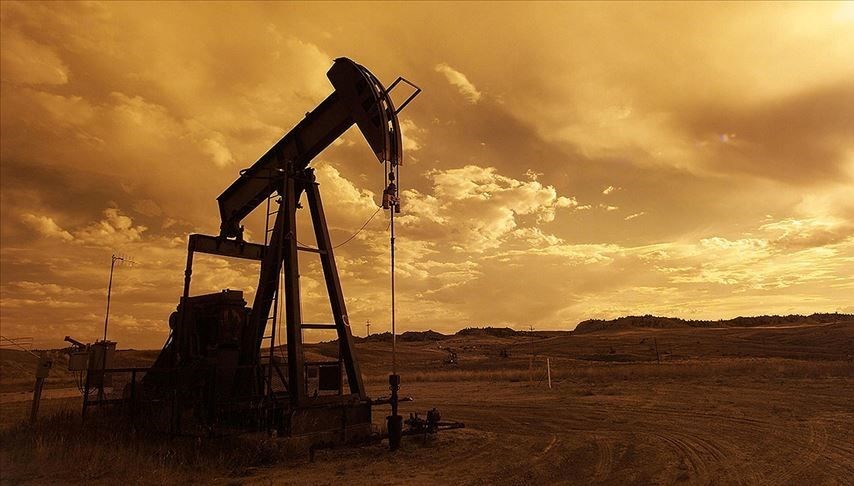 Türkiye Petrolleri Anonim Ortaklığı (TPAO),