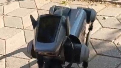 Robot köpek görenleri hayrete düşürdü
