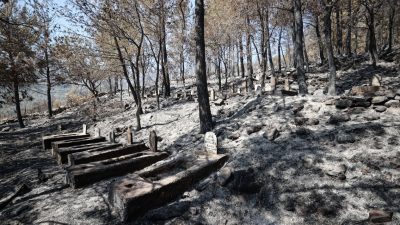 Silifke’deki orman yangını ile ilgili 4 kuşkulu tutuklandı: Kaynaktan çıkmış