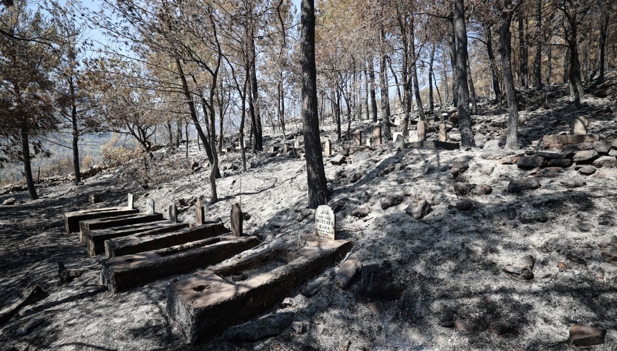 Silifke’deki orman yangını ile ilgili 4 kuşkulu tutuklandı: Kaynaktan çıkmış