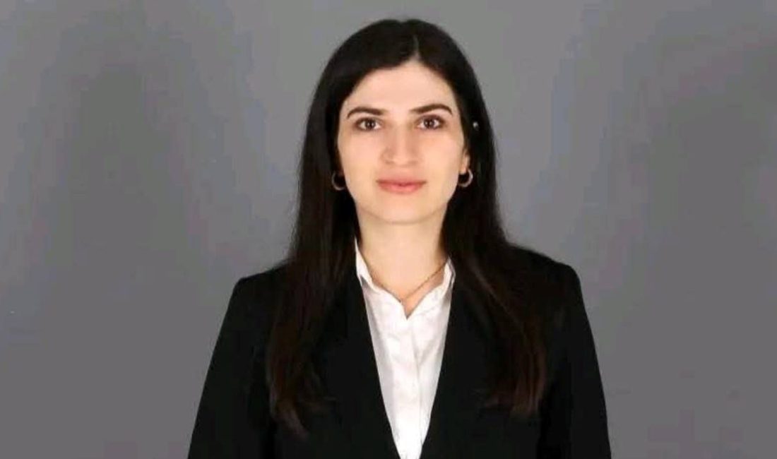 DEM Parti Lokal İdareler