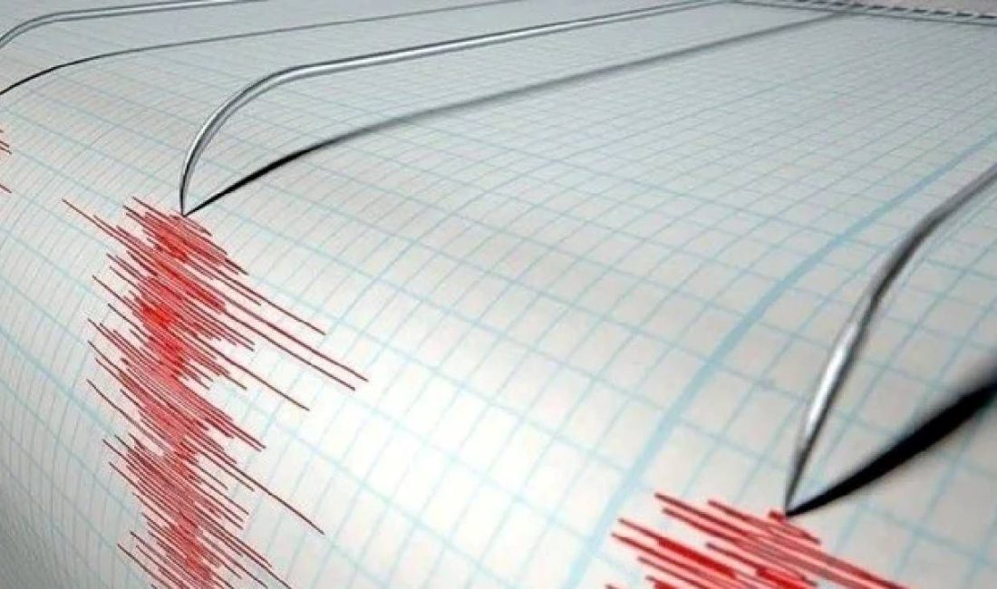 Balıkesir'in Sındırgı ilçesinde arka