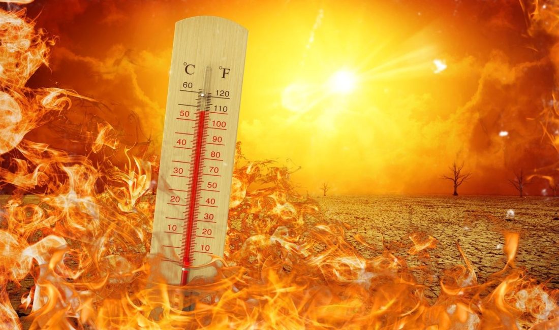 Meteoroloji Genel Müdürlüğü’nün sıcaklık