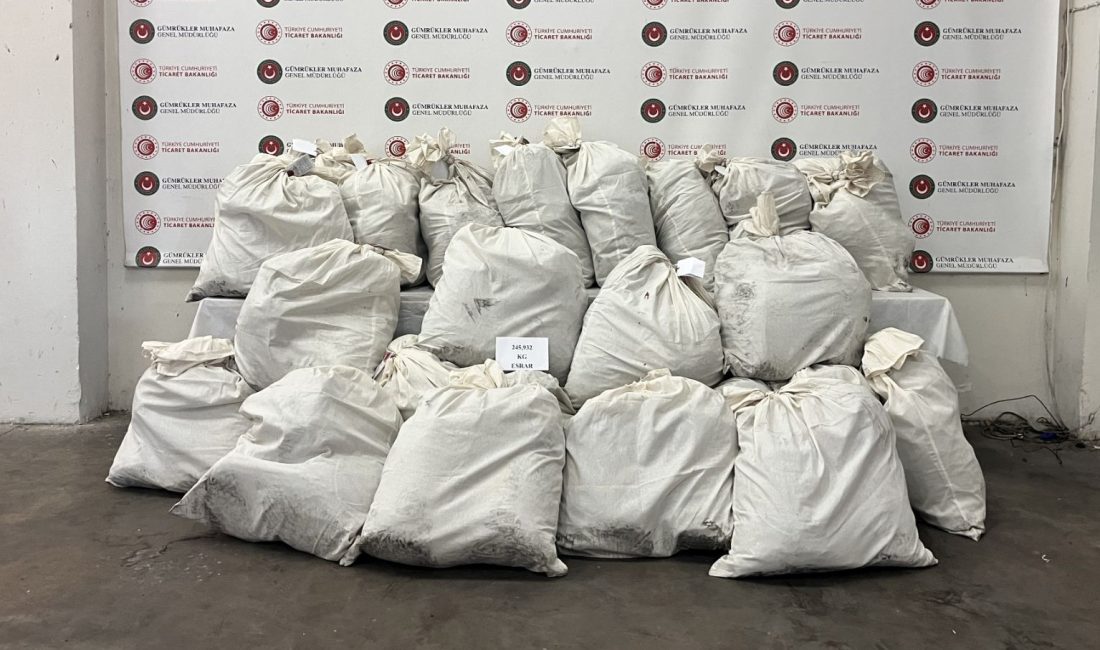 Kapıkule Hudut Kapısı'ndaki kaçakçılığın