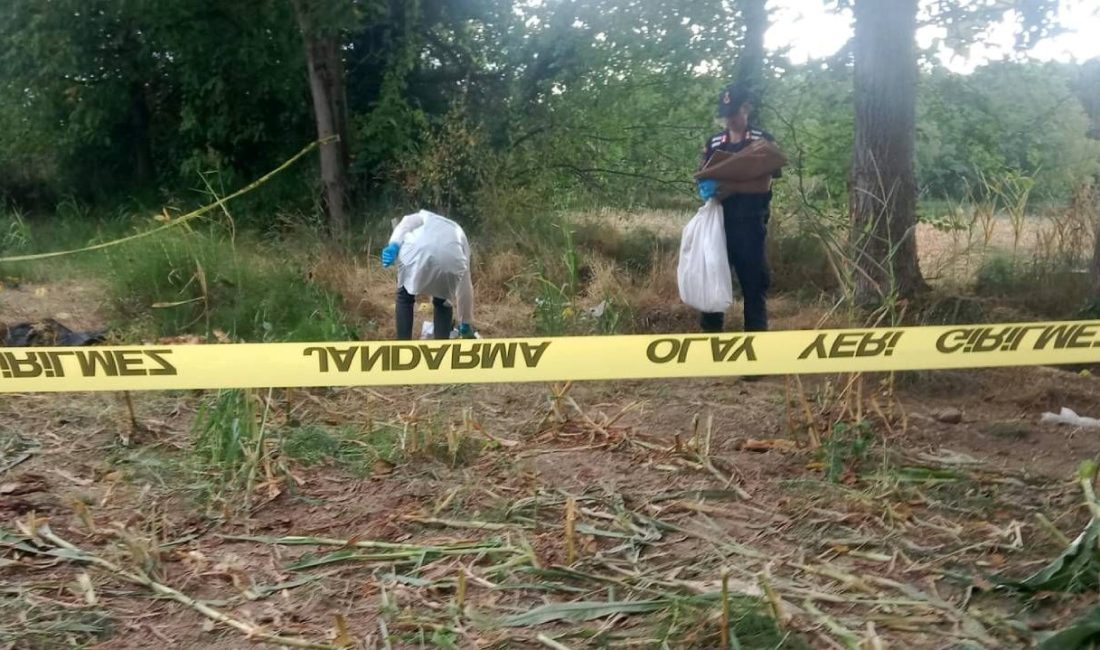 Düzce'de çalışmak için mısır