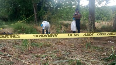 Tarlada kafatası ve kemikler bulundu, jandarma harekete geçti: Düzce’de sır vefat