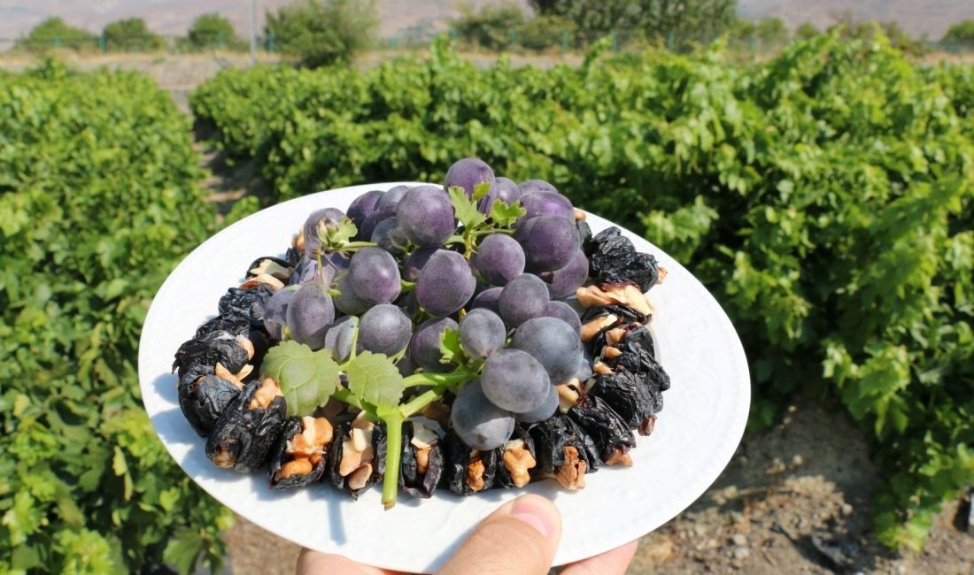 Erzincan iktisadına katlı sağlayan