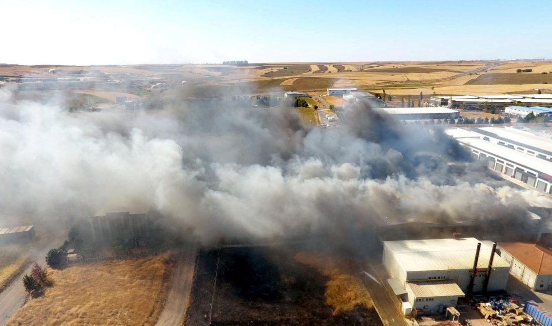 Tekirdağ'ın Çorlu ilçesinde çıkan