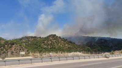 Tokat’ta orman yangını: 1 kuşkulu gözaltında