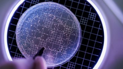 Tüm virüslere karşı tesirli ilaç geliştirildi: Üniversal bağışıklık mümkün mü?