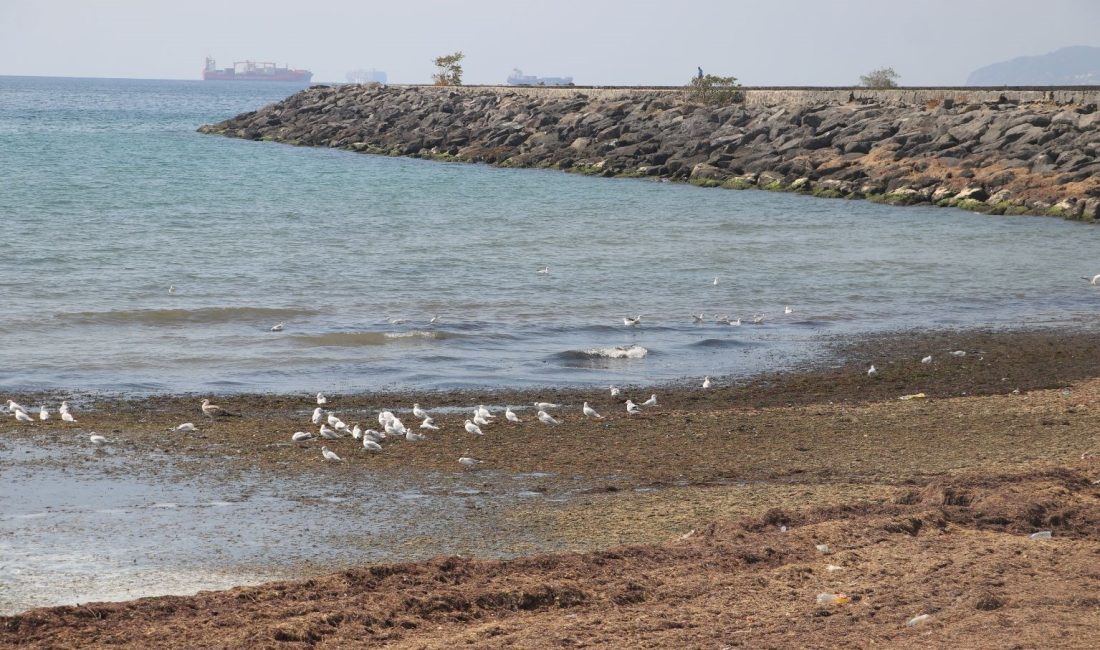 Tekirdağ'da 6 gündür süren