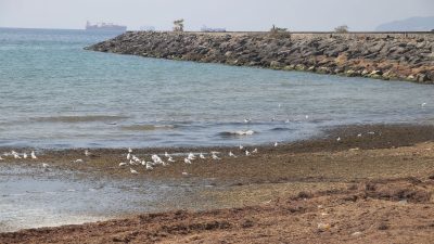 Ulaşımı felç eden poyraz sona erdi