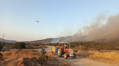 Urla’da ormana sıçrayan yangın denetim altında