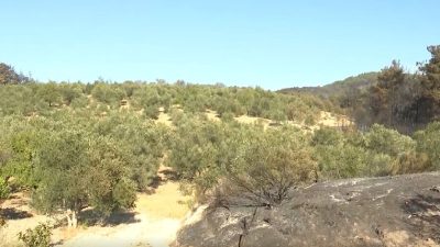 Yangının ortasında paklık kurtardı