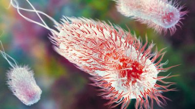 ABD’de yapay zeka yardımıyla kimi bakterileri yok edebilen virüsler üretildi