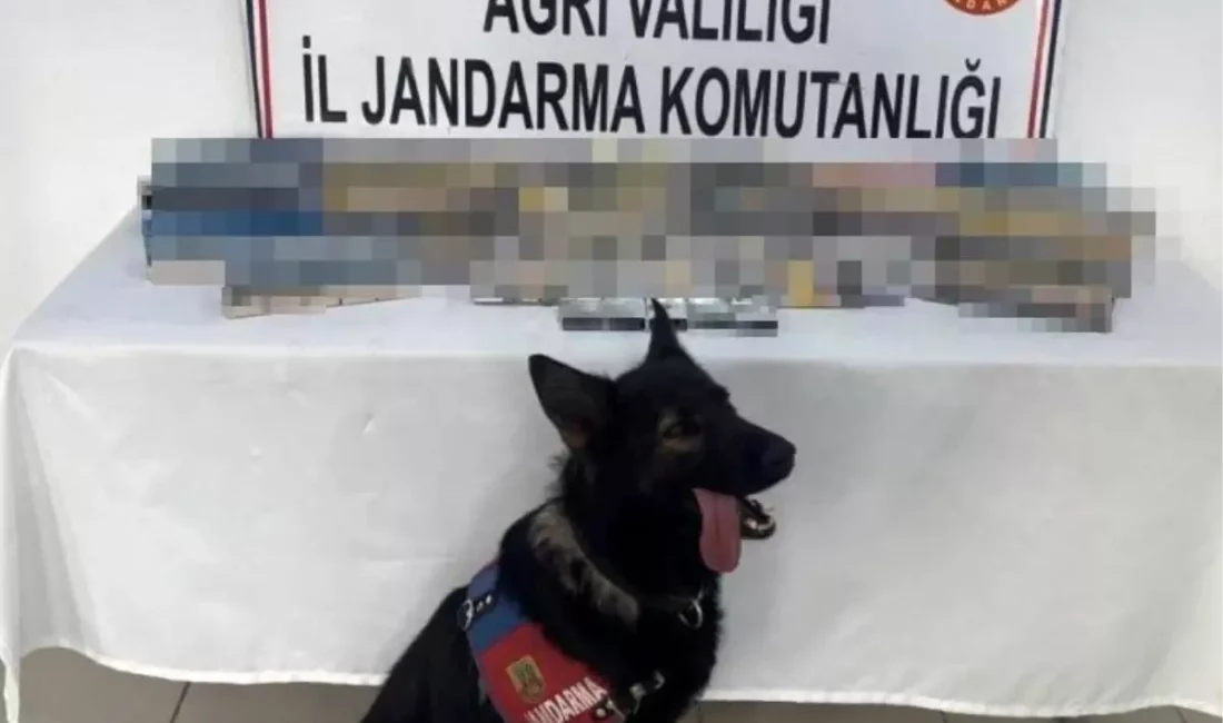 Ağrı Doğubayazıt'ta jandarma gümrük