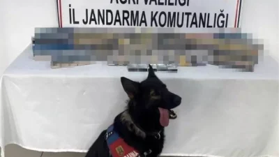 Ağrı Doğubayazıt’ta Jandarmadan Gümrük Kaçağı Sigara Operasyonu