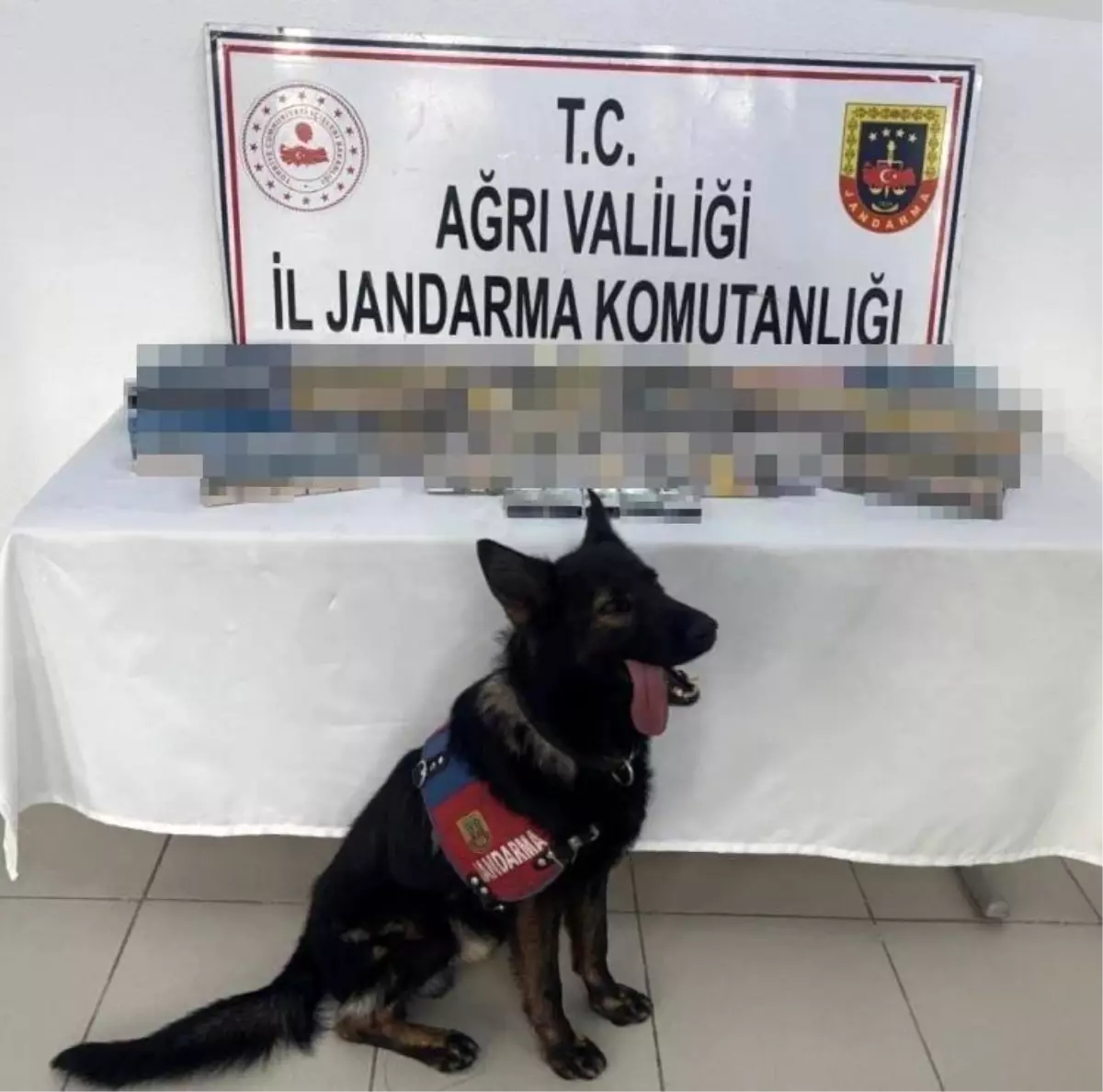 Ağrı Doğubayazıt’ta Jandarmadan Gümrük Kaçağı Sigara Operasyonu