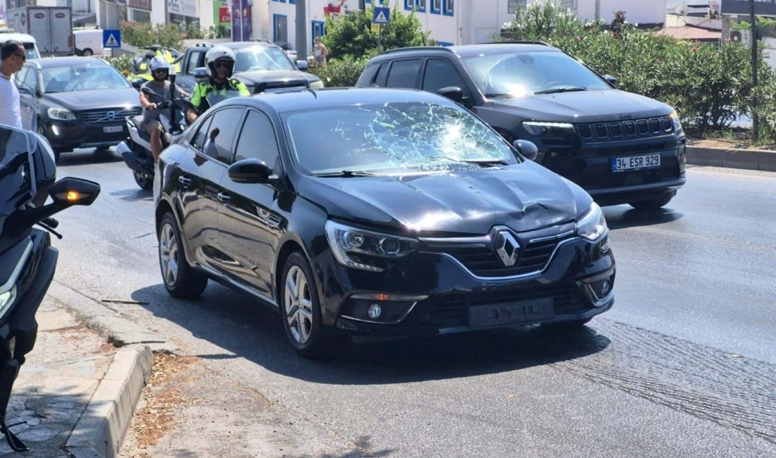 Muğla'da yolun karşısına geçmeye
