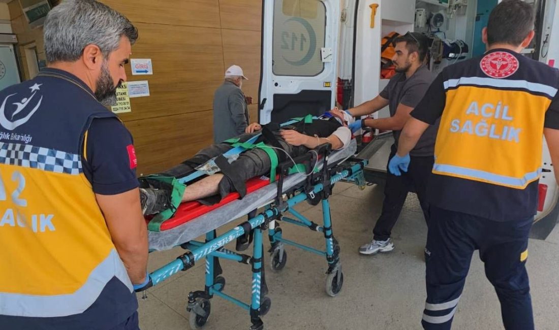 Bursa'nın İnegöl ilçesinde arabayla