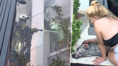 Ares kurtarılamadı, gözyaşlarına boğuldu