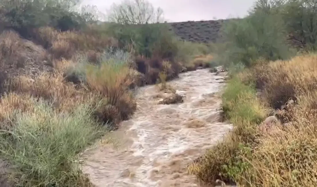 Arizona'da yoğun yağışlar ve