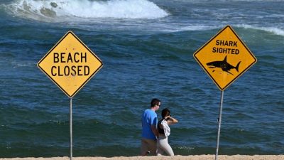 Avustralya’da ölümcül köpek balığı saldırısı: Kıyılar kapatıldı