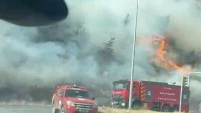 Aydın’da makilik alanda yangın