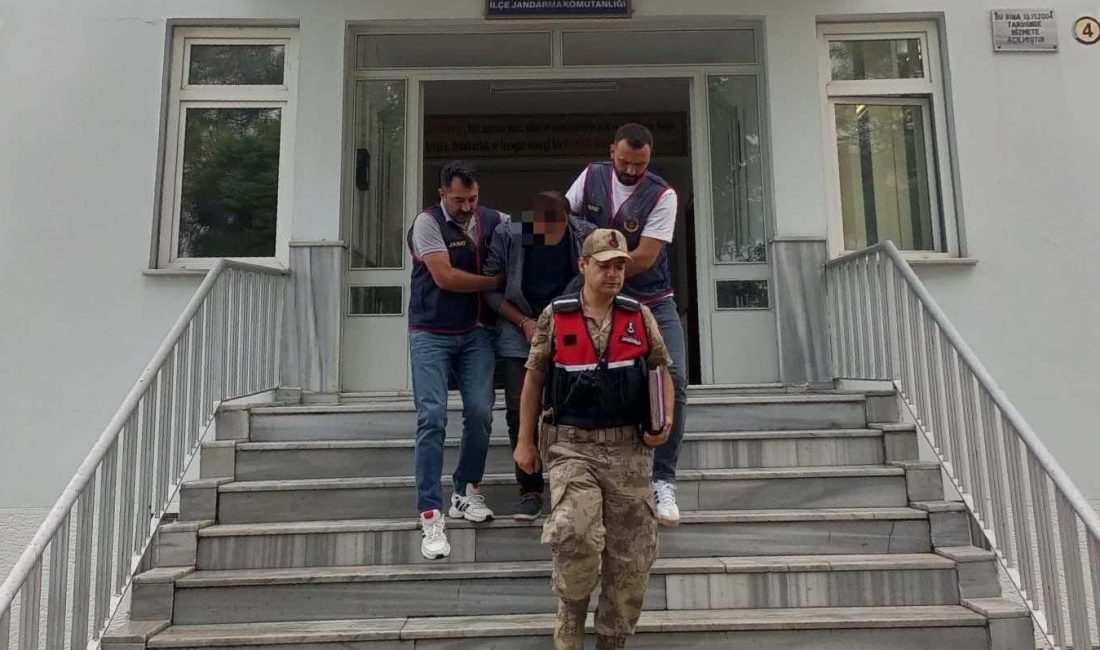 Ordu'da fındık bahçelerinden 1,5 ton