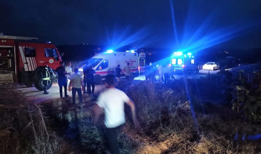 Kocaeli'de bahçesindeki ağacın altında